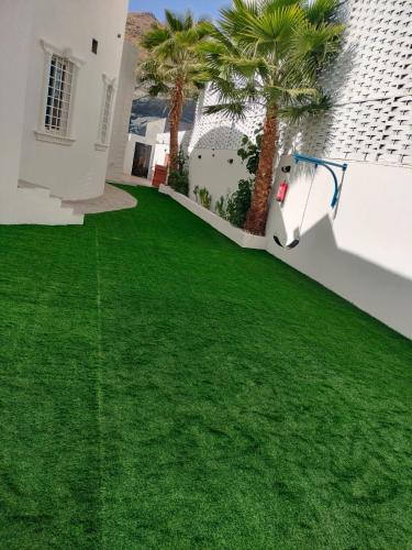 Taif House | شالية الكناري