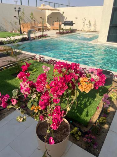 Al Hofuf Ski Chalet | شاليه كوڤ 2 Cove Chalet