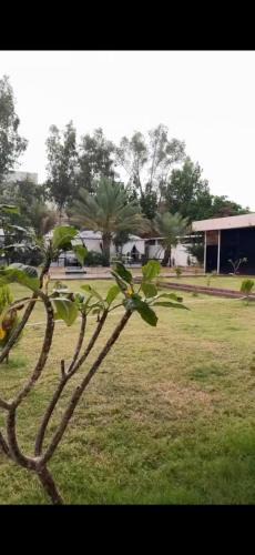 Taif Villa | Beau
