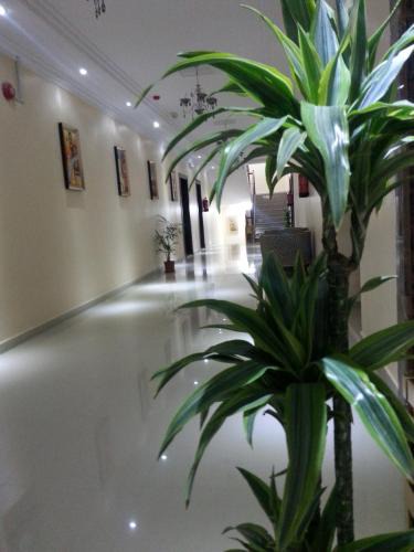 Sakaka Apartment | Lara Al Jawf Served Apartments