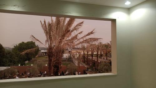 Ash Shafa Apartment | استراحات بيت كندا بالشفا