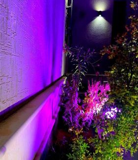 Riyadh Apartment | سنبله 17