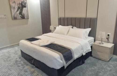 Bisha Apartment | شركة حلو الأماكن للشقق المخدومة اقتصادي