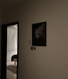 Tabuk Apartment | شقة غرفة نوم وصالة انيقة وجميلة