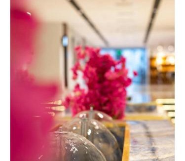 Taif Hotel | فندق ياز