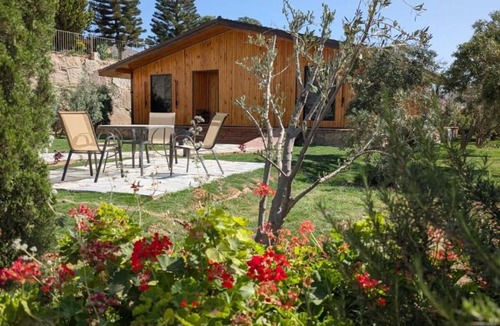 Baljurashi House | كوخ الزيتون من اوليفيرا