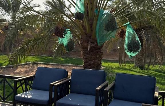 المكن الريفي لبيوت العطلات و الشاليهات in Hautat Sudair