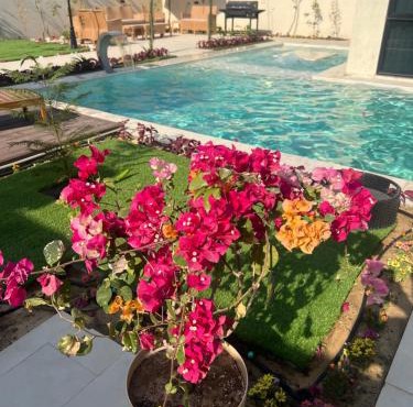 شاليه كوڤ 2 Cove Chalet