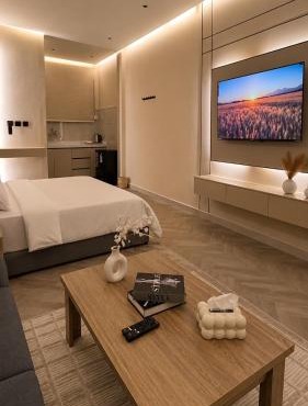 Luxury Smart Entry Studio