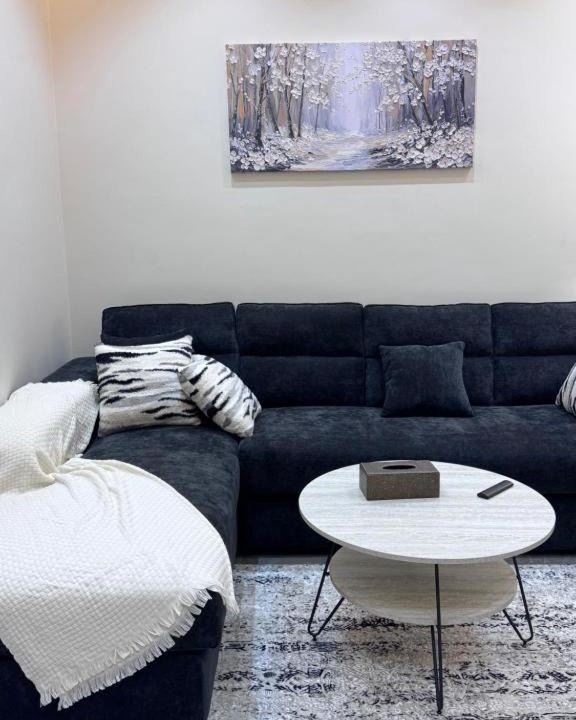 Palestine Street Apartment | Misk Apartment 3
