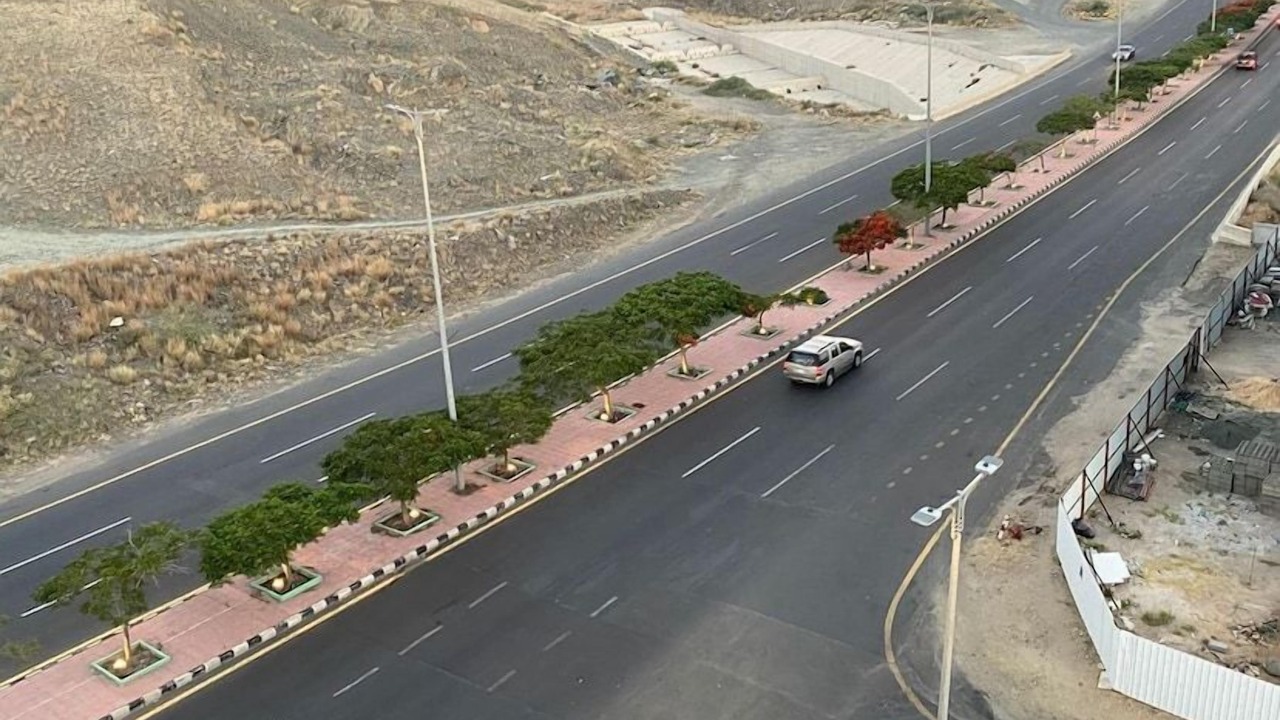 Photo of Others in Abha
