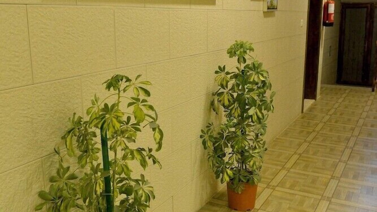 Photo of Others in Al Jubail