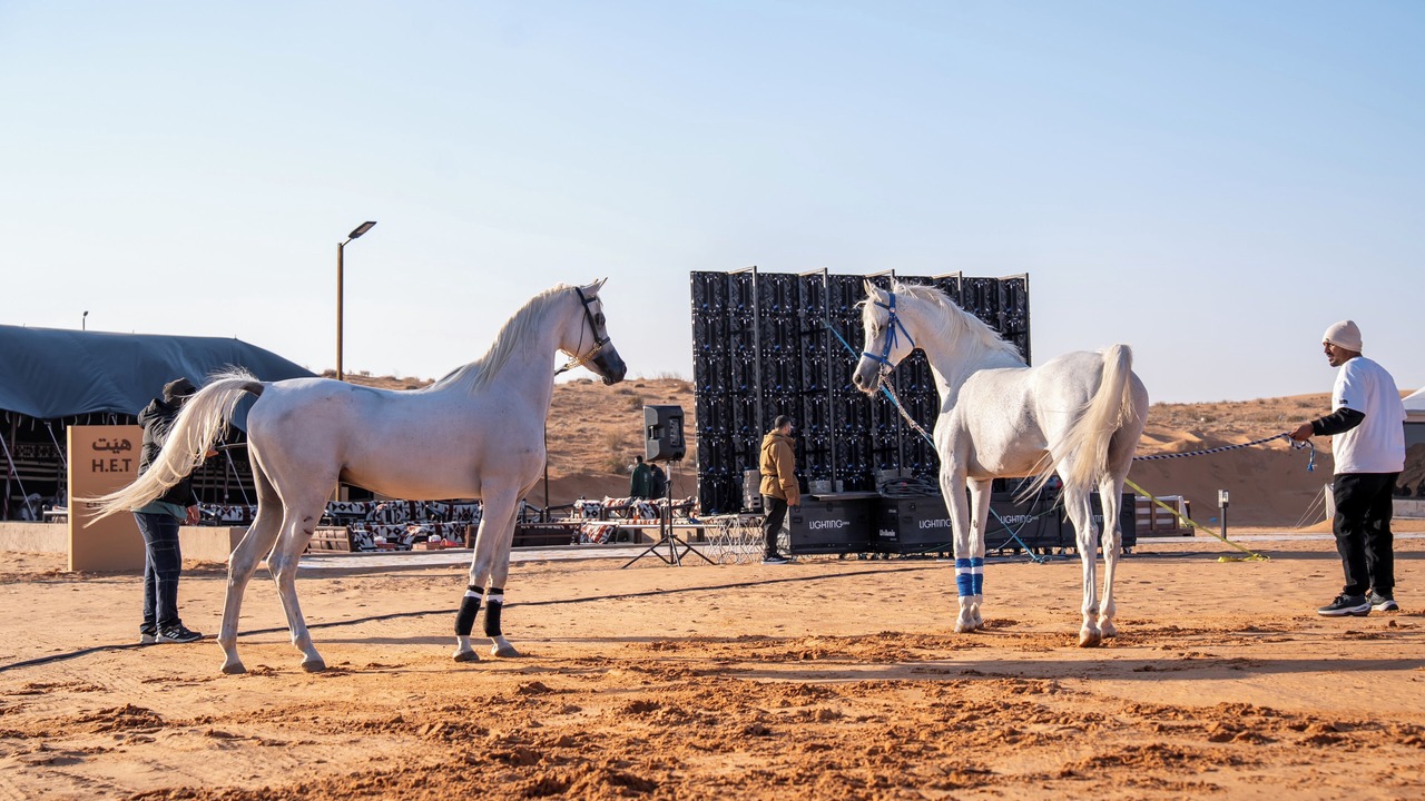 Photo of Others in Riyadh