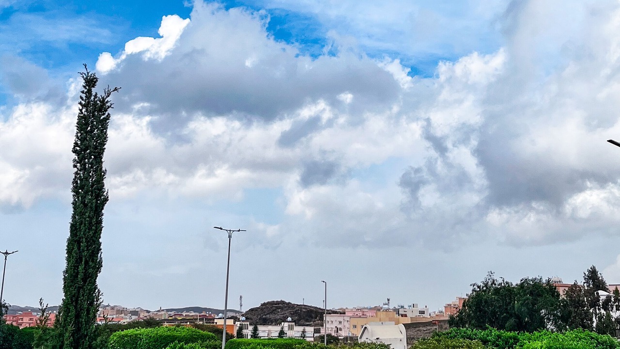Photo of Others in Abha