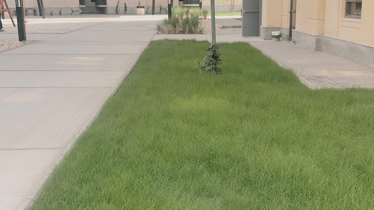 Photo of Outdoor in Al Kura