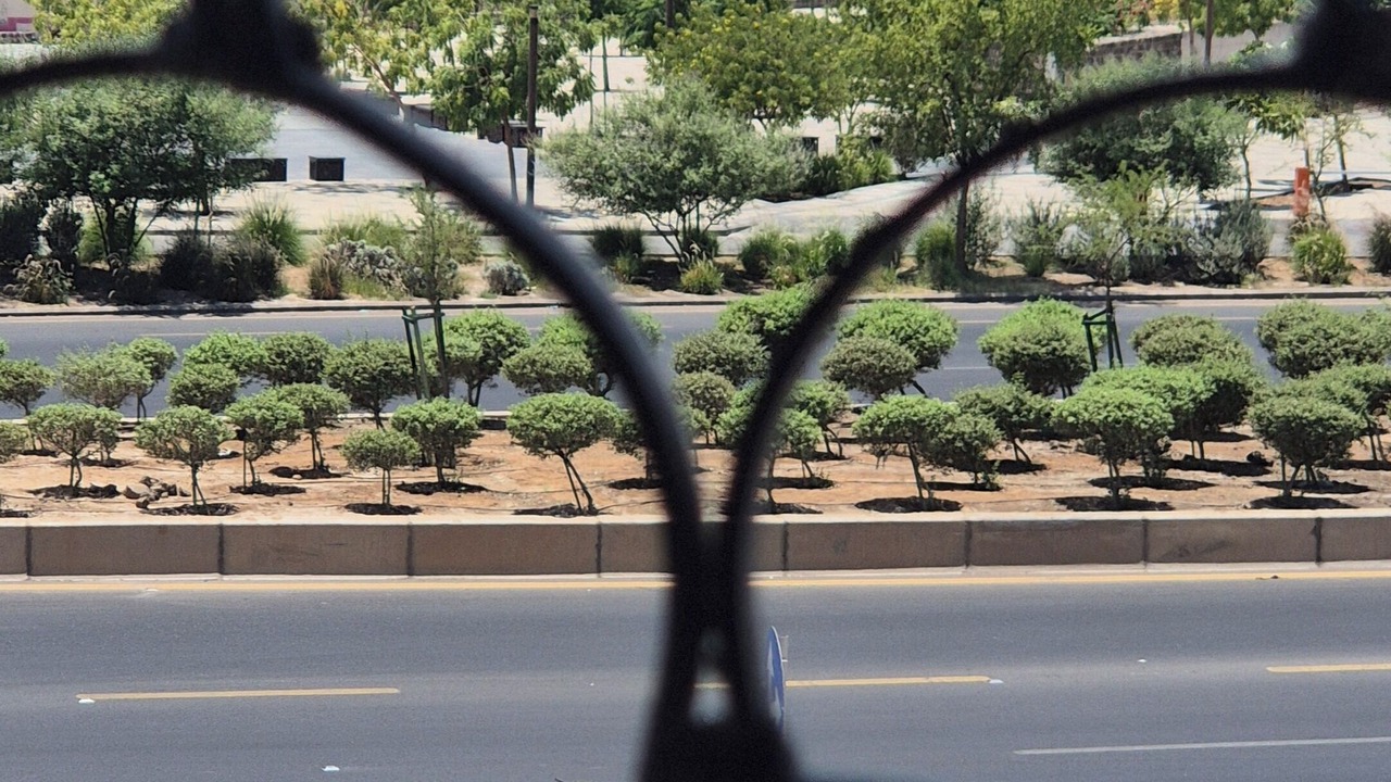 Photo of Others in Medina