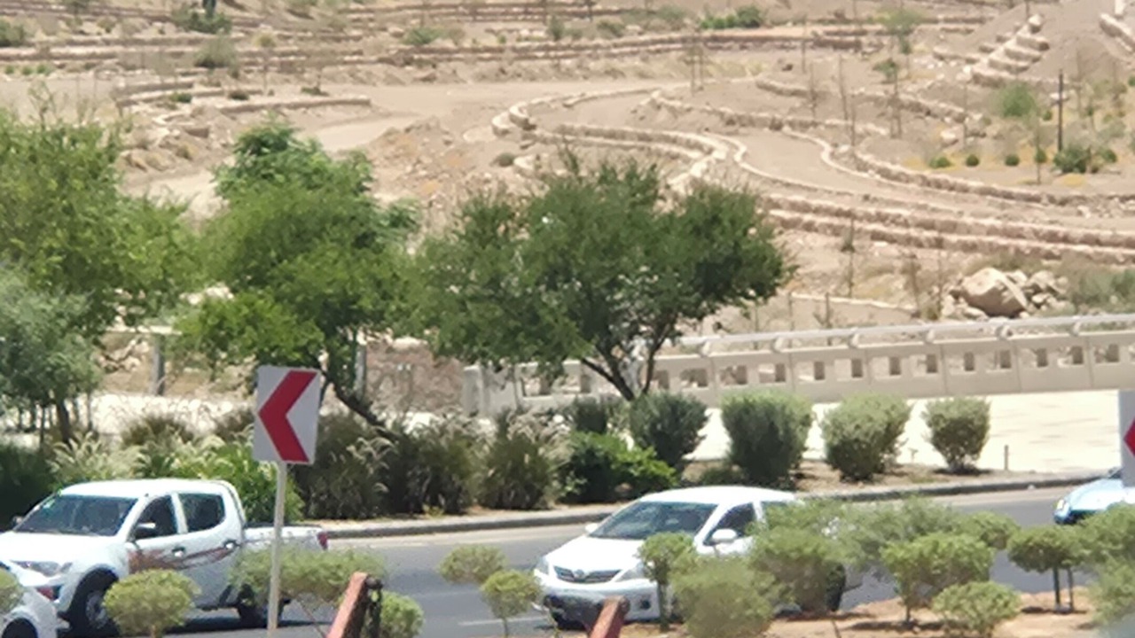 Photo of Others in Medina