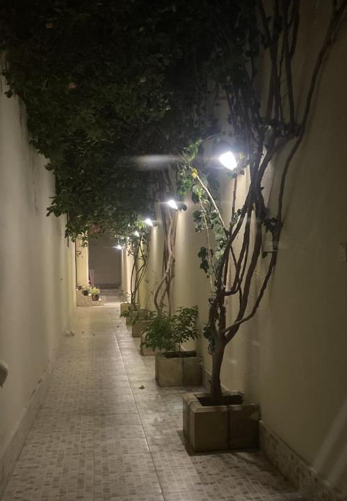 Photo of Others in Taif