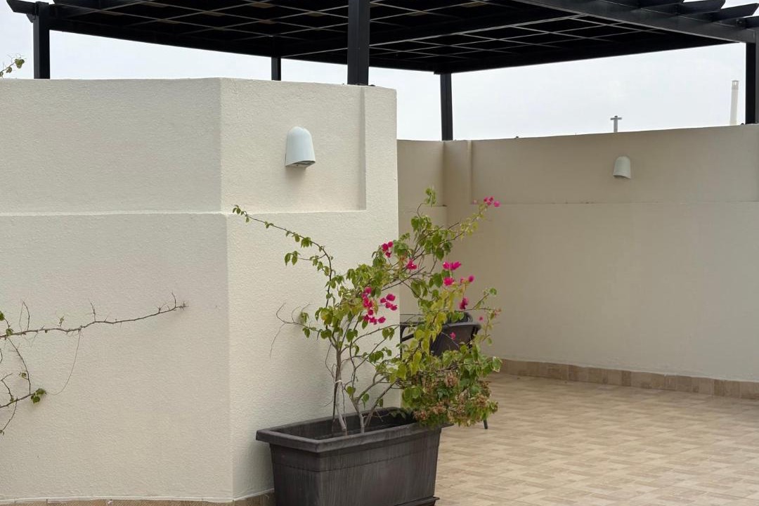 Photo of Others in Taif