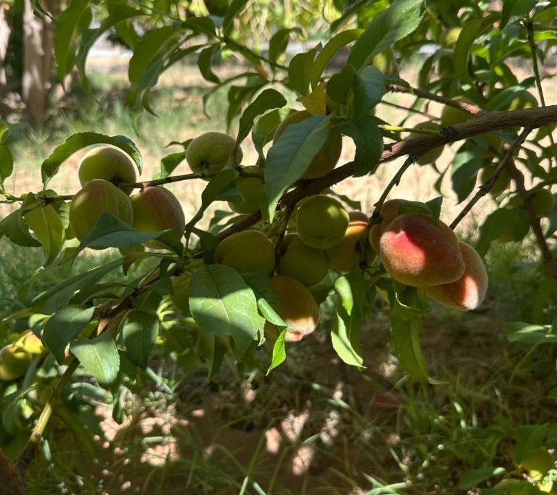 Photo of Outdoor in Western Province