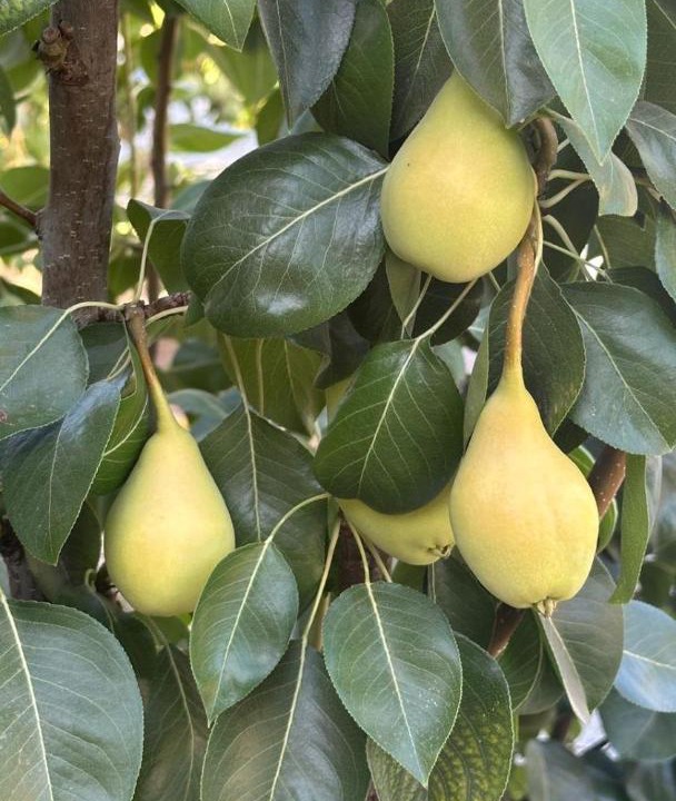 Photo of Outdoor in Western Province