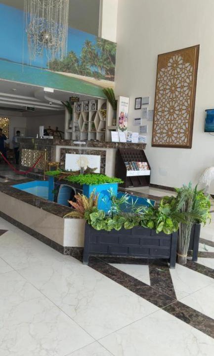 Photo of Others in Yanbu