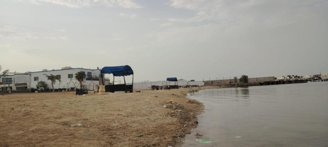 Photo of Others in Al Kura