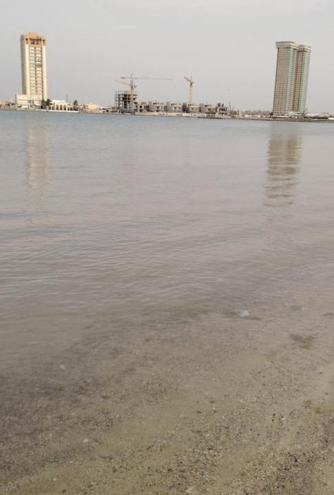 Photo of Others in Al Kura