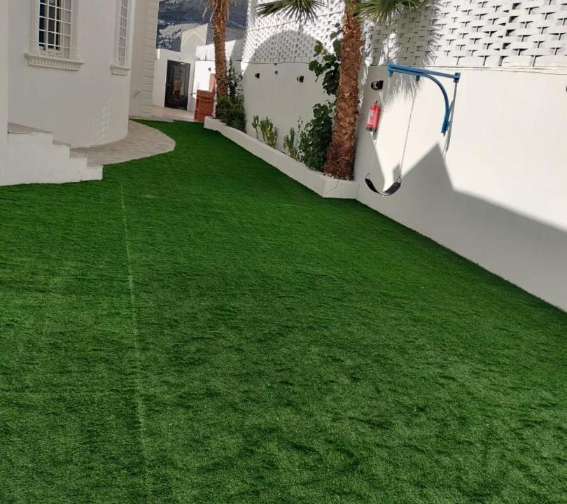 Photo of Others in Taif