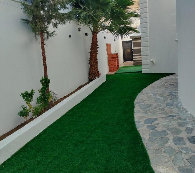 Photo of Others in Taif