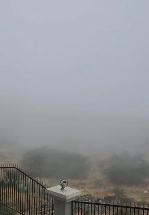 Photo of Others in Al Bahah