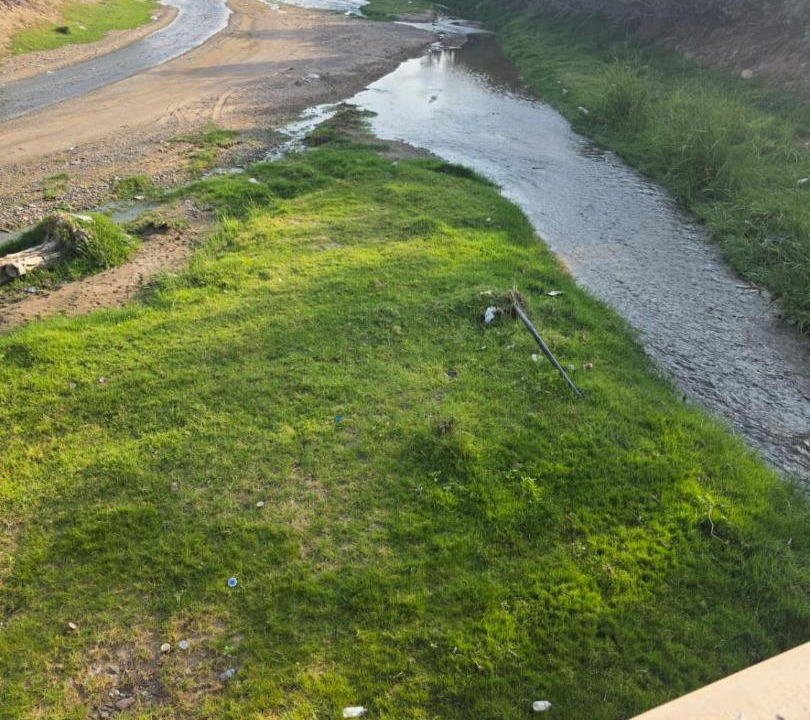 Photo of Others in Taif