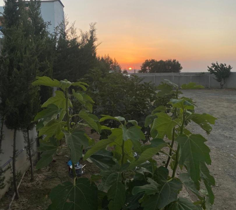 Photo of Outdoor in Al Bahah