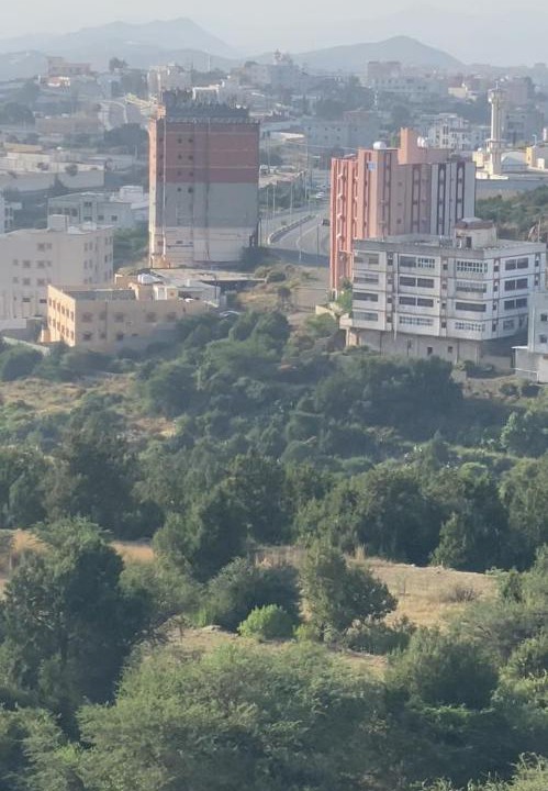Photo of Buildings in Al Bahah