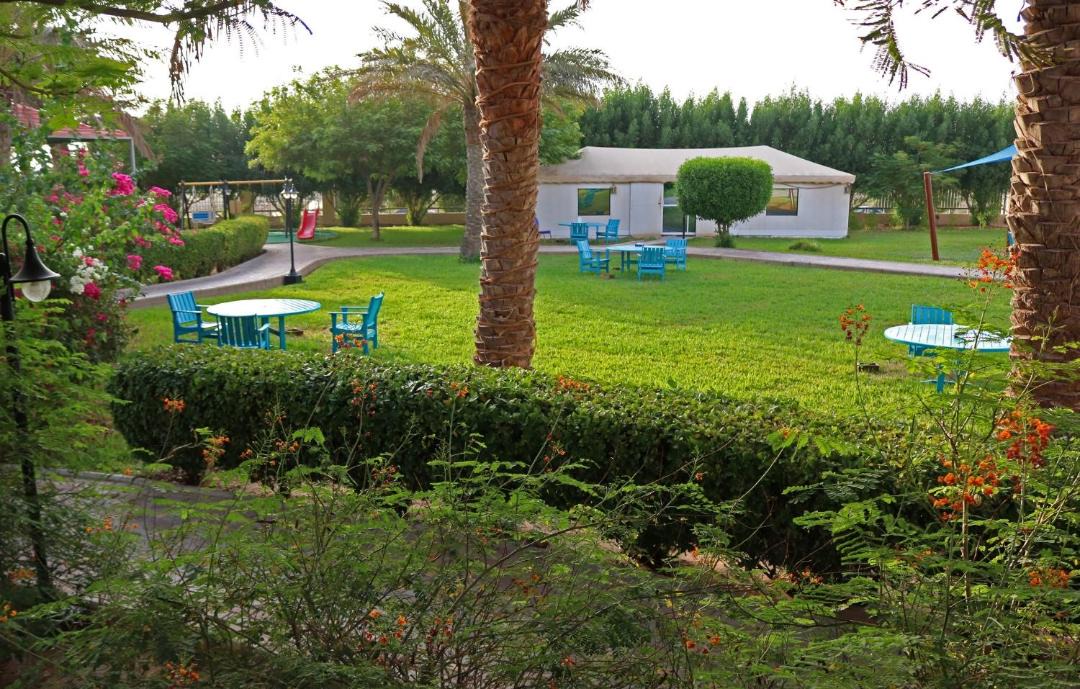 Photo of Others in Yanbu