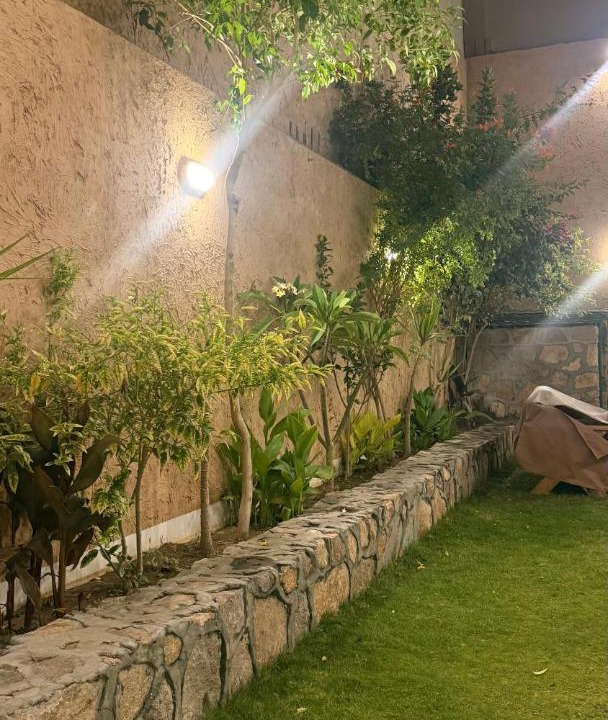 Photo of Others in Taif
