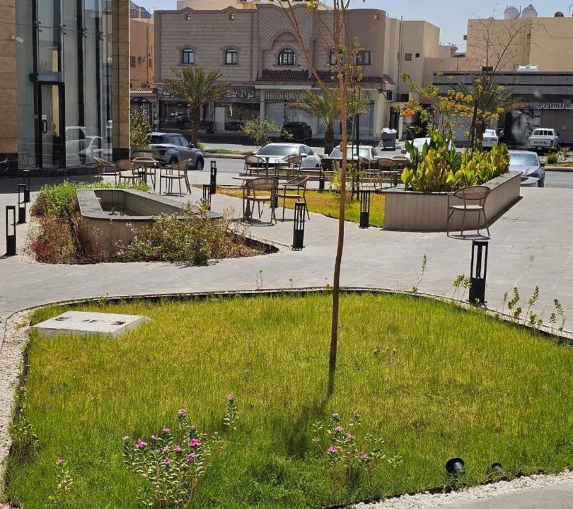 Photo of Others in Medina
