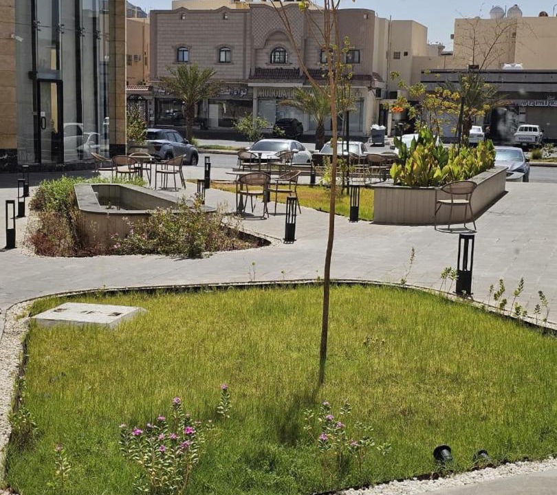 Photo of Others in Medina