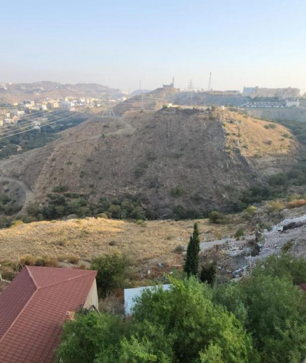 Photo of Others in Al Baha