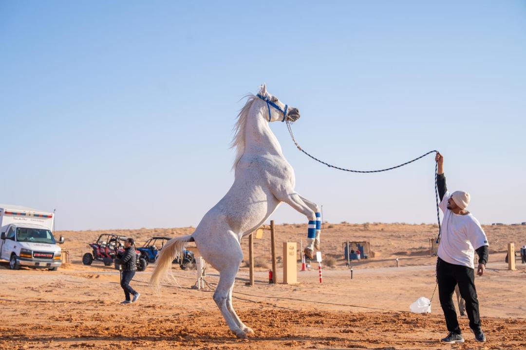Photo of Others in Riyadh