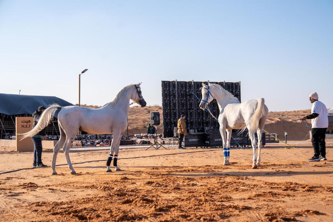 Photo of Others in Riyadh