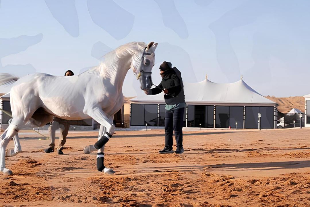 Photo of Others in Riyadh