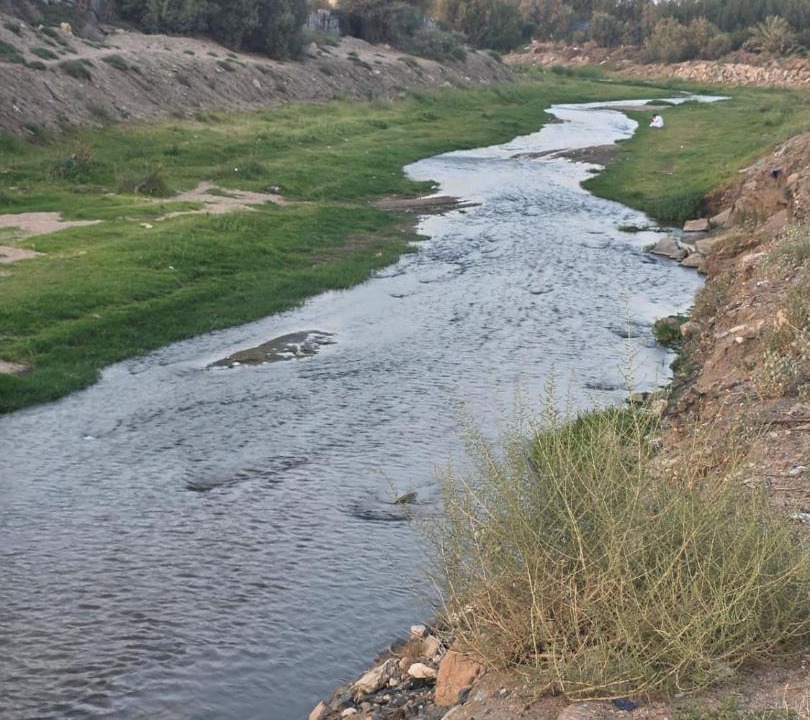 Photo of Others in Taif