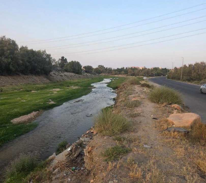 Photo of Others in Taif