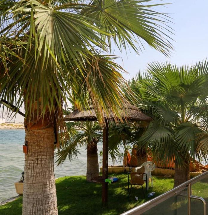 Photo of Others in Dhahran