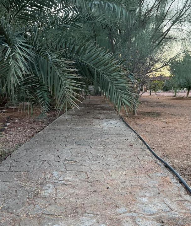 Photo of Others in As Suwayfilah