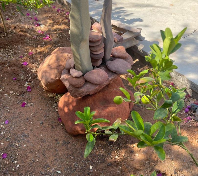 Photo of Others in AlUla