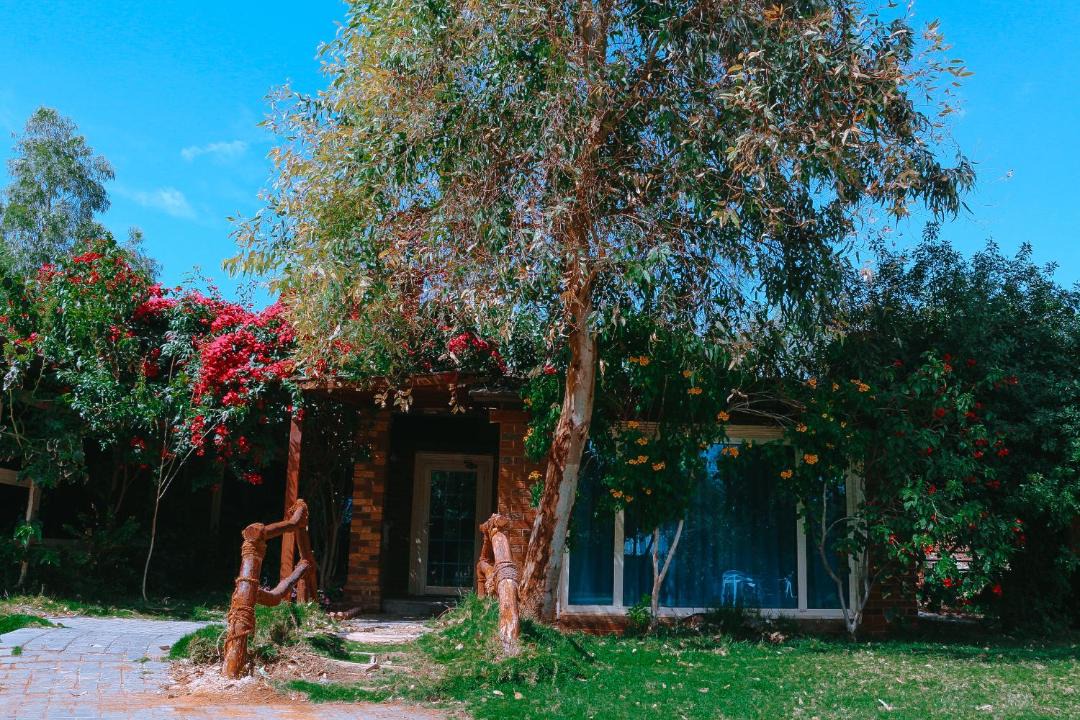 Photo of Others in Unaizah