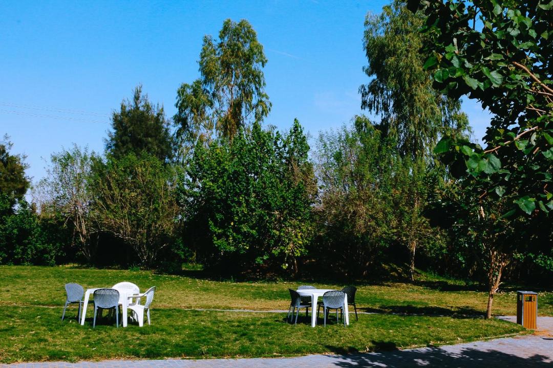 Photo of Others in Unaizah