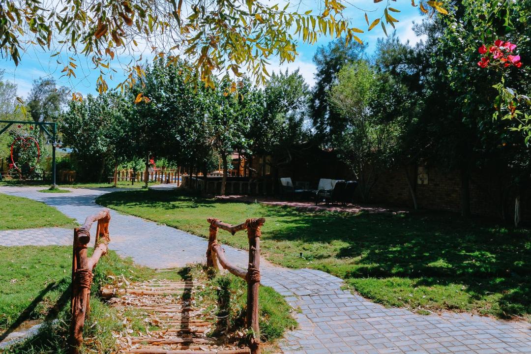 Photo of Others in Unaizah